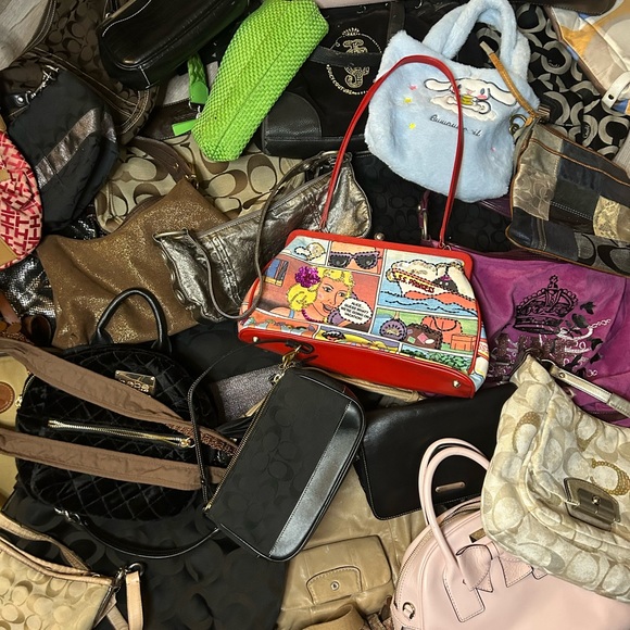 Meet your Posher, Gabby - Picture 8 of 8